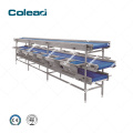 Food grade working conveyor belt for vegetable